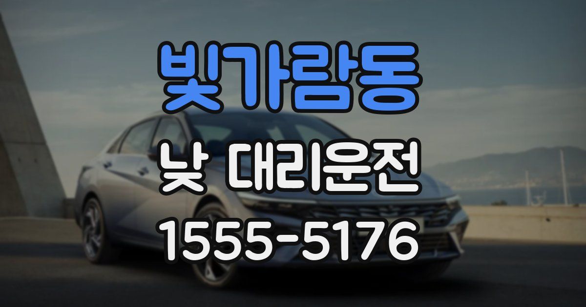 빛가람동 낮 대리운전