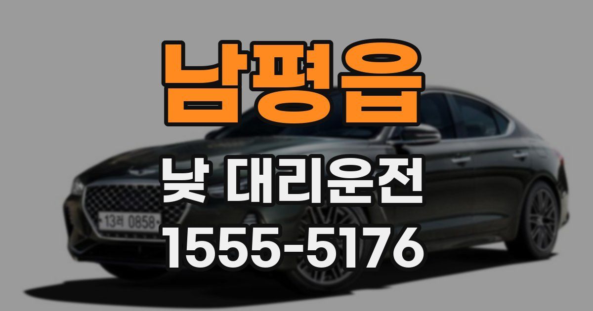 남평읍 낮 대리운전