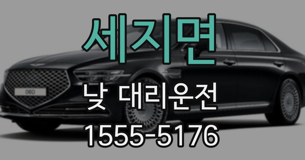 세지면 낮 대리운전