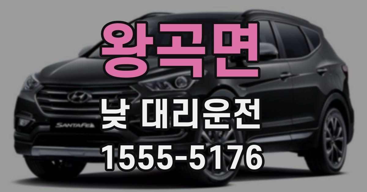 왕곡면 낮 대리운전