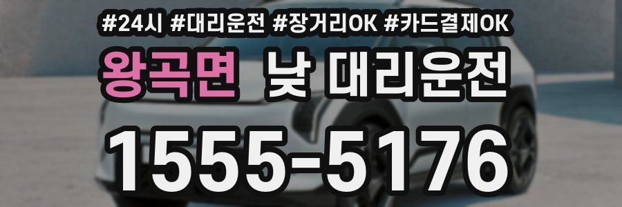 왕곡면 낮 대리운전