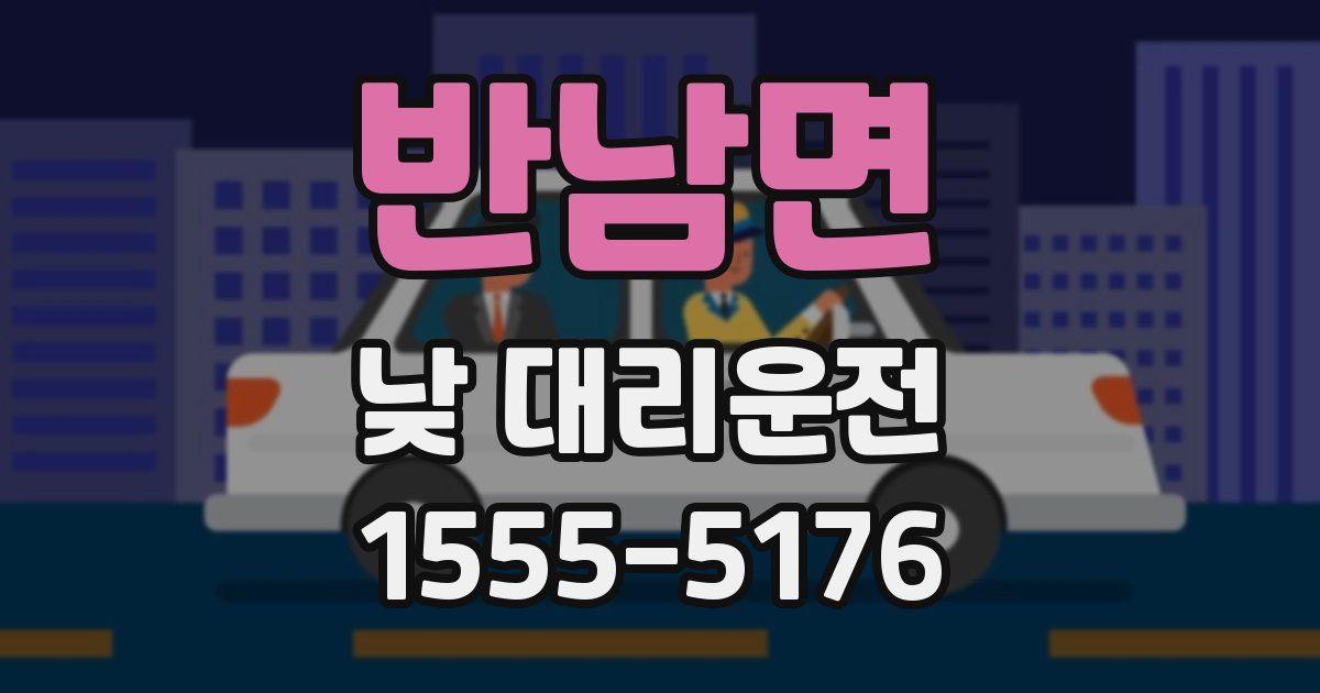 반남면 낮 대리운전