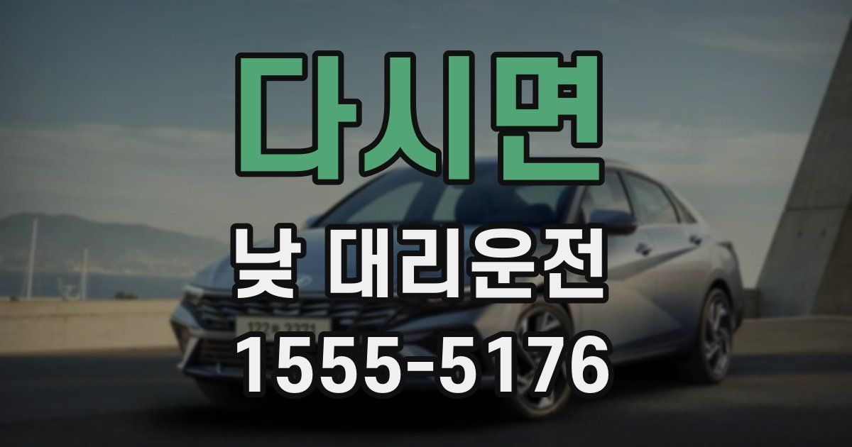 다시면 낮 대리운전