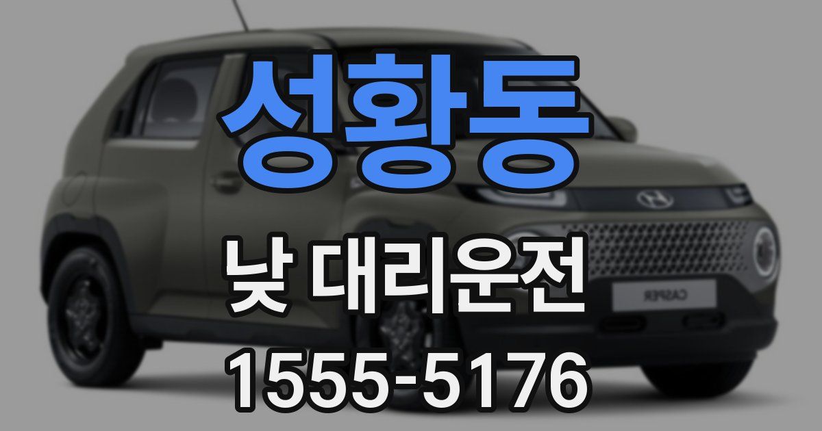 성황동 낮 대리운전