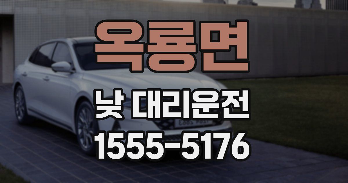 옥룡면 낮 대리운전