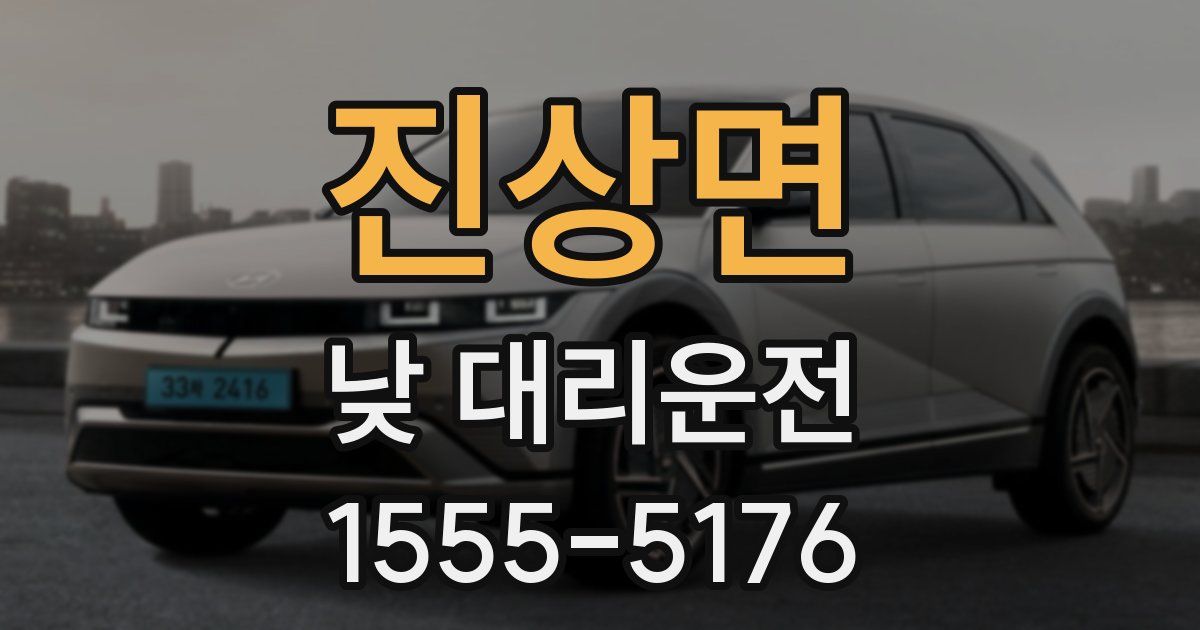 진상면 낮 대리운전