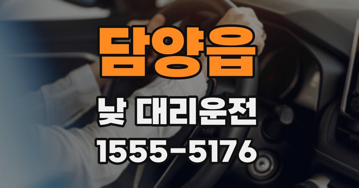 담양읍 낮 대리운전