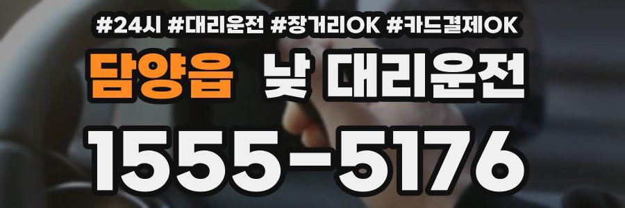담양읍 낮 대리운전