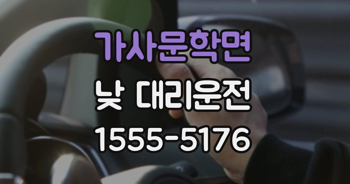 가사문학면 낮 대리운전