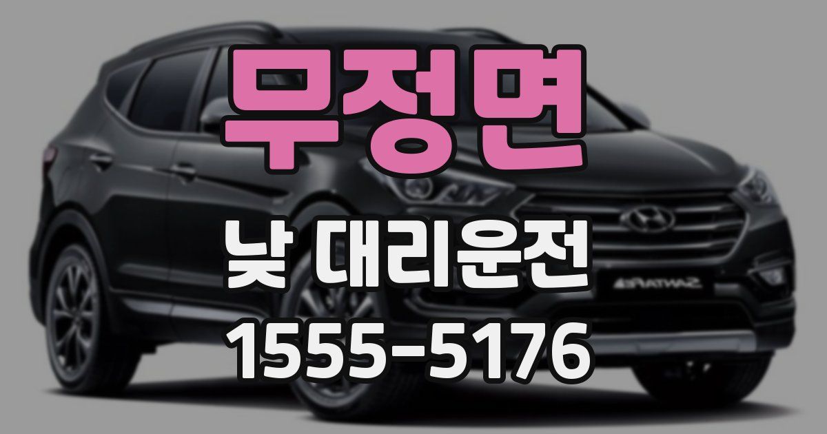 무정면 낮 대리운전
