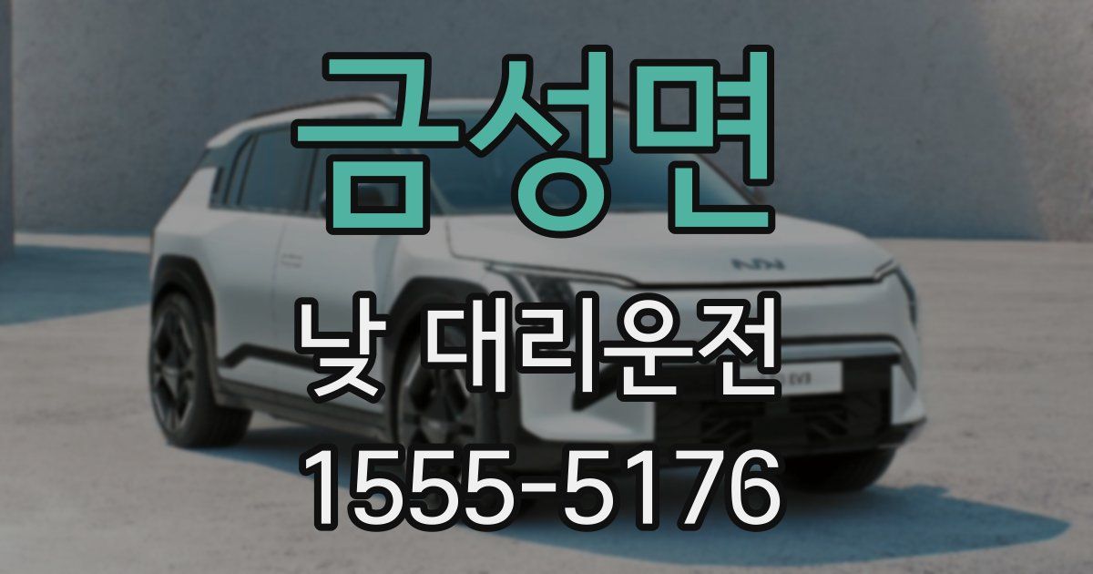 금성면 낮 대리운전