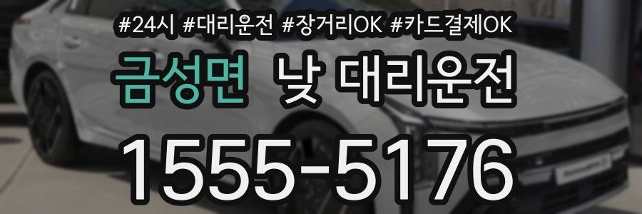 금성면 낮 대리운전