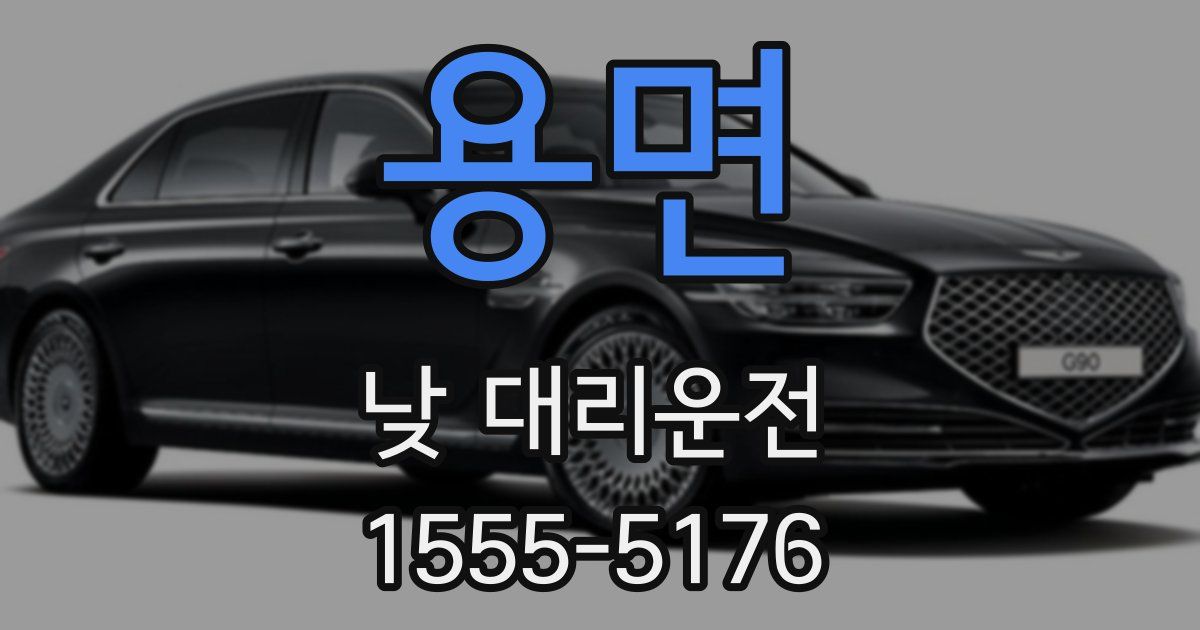 용면 낮 대리운전
