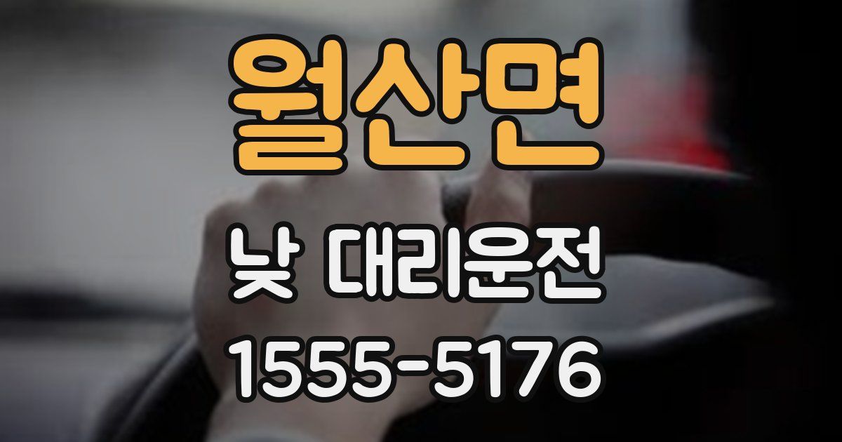 월산면 낮 대리운전