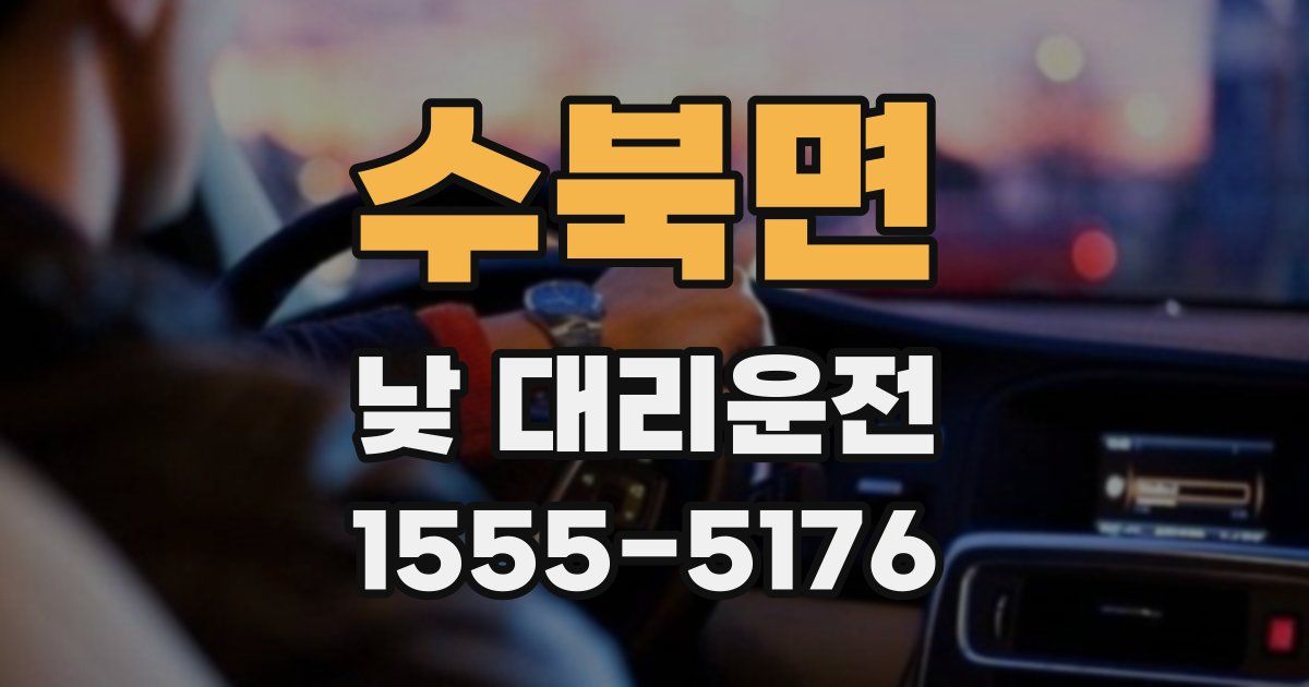 수북면 낮 대리운전