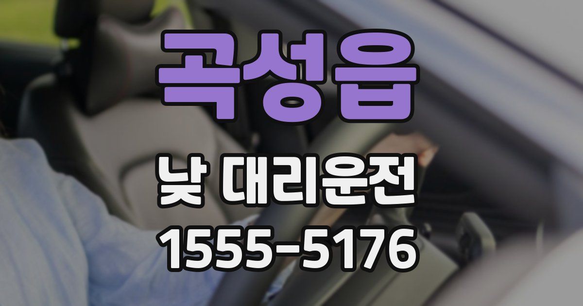 곡성읍 낮 대리운전