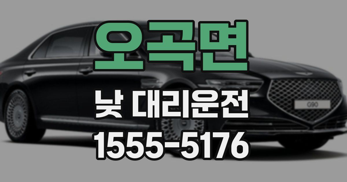 오곡면 낮 대리운전