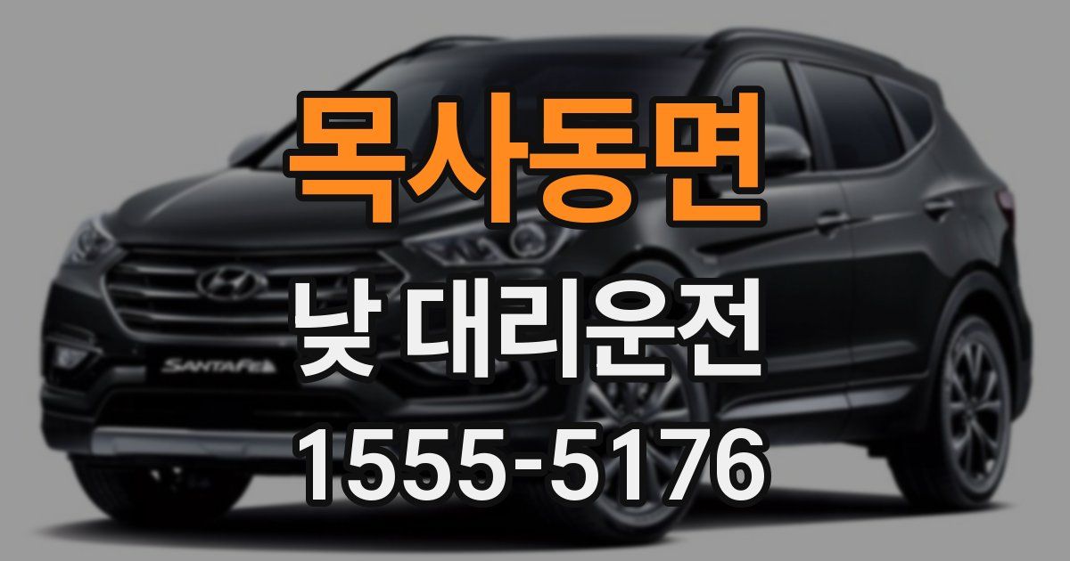 목사동면 낮 대리운전
