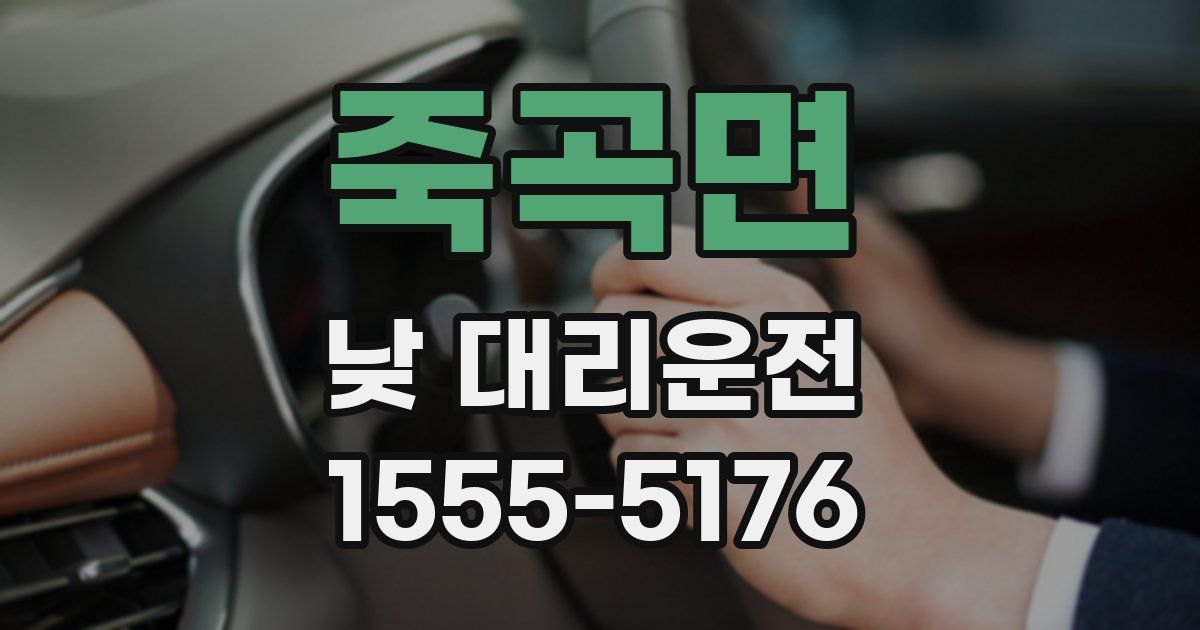 죽곡면 낮 대리운전