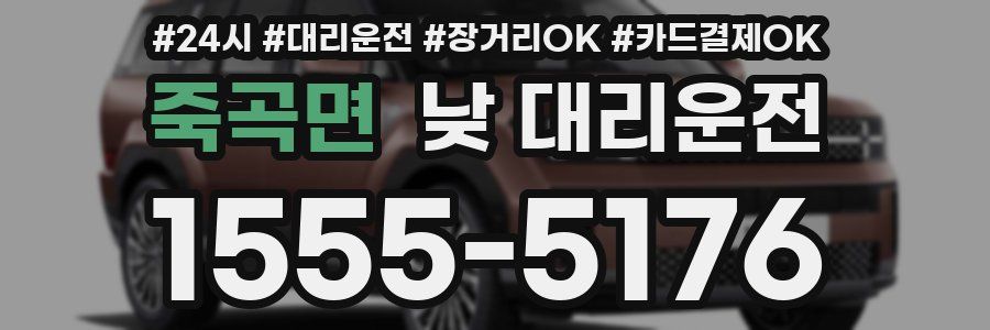 죽곡면 낮 대리운전