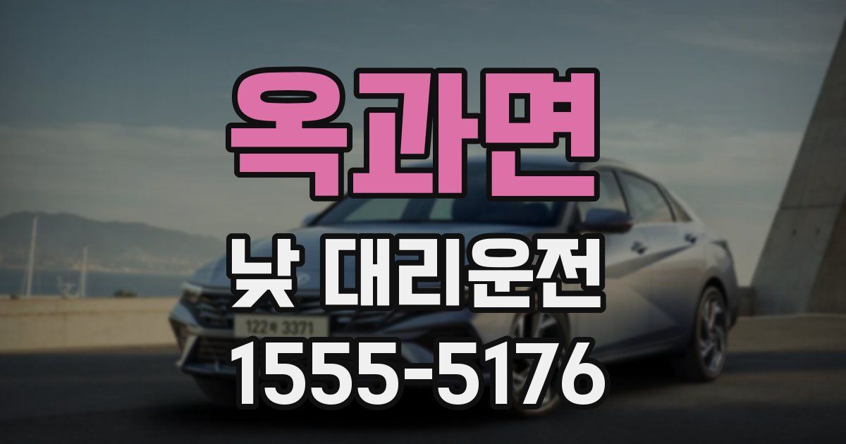 옥과면 낮 대리운전