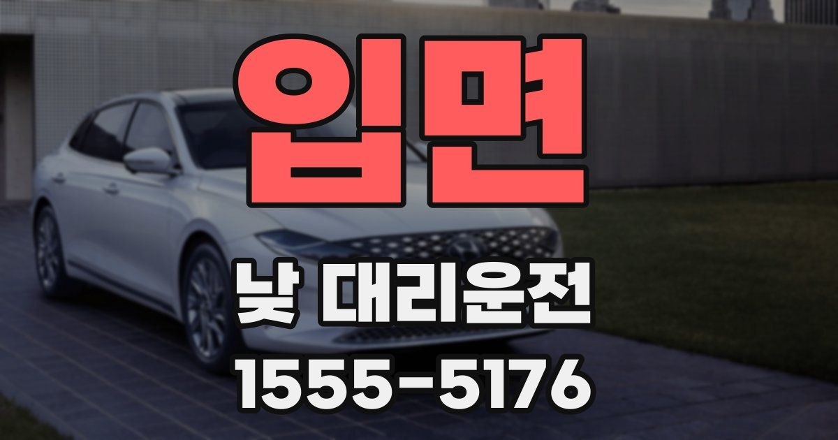 입면 낮 대리운전