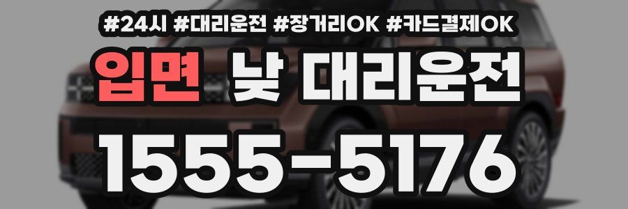입면 낮 대리운전
