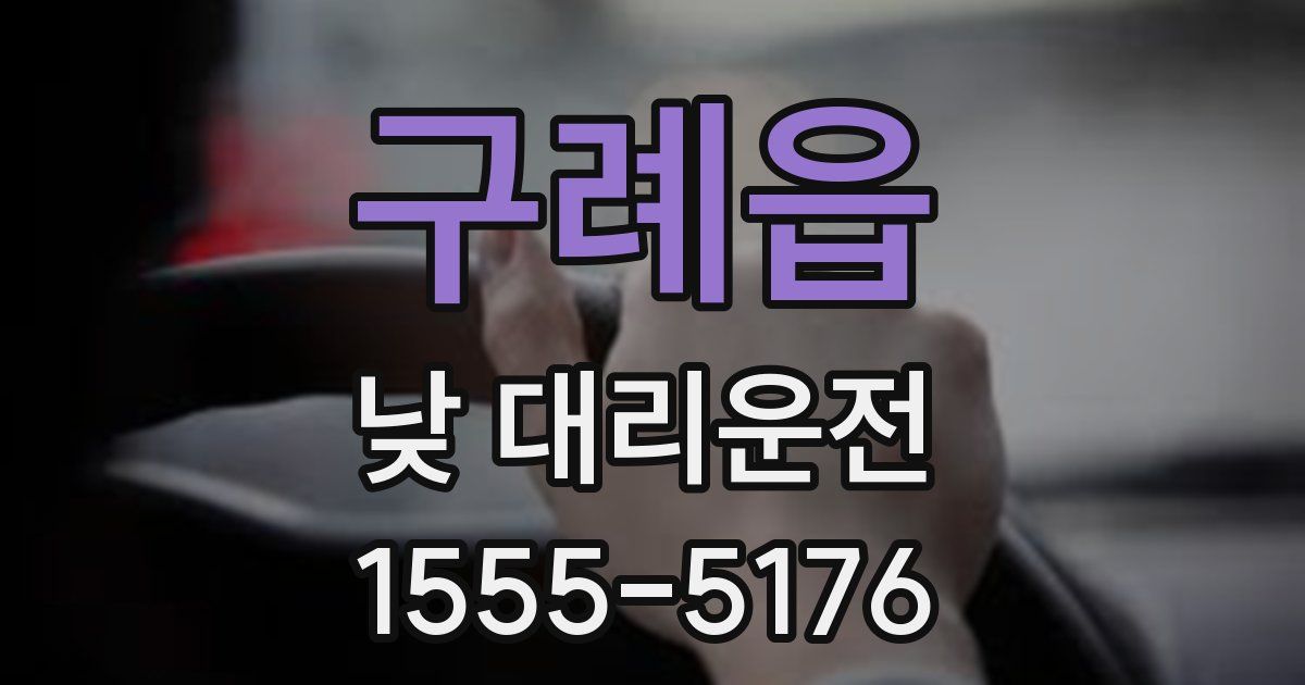 구례읍 낮 대리운전