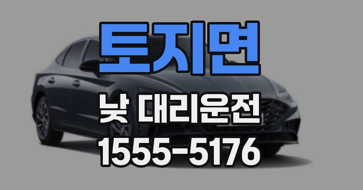 토지면 낮 대리운전