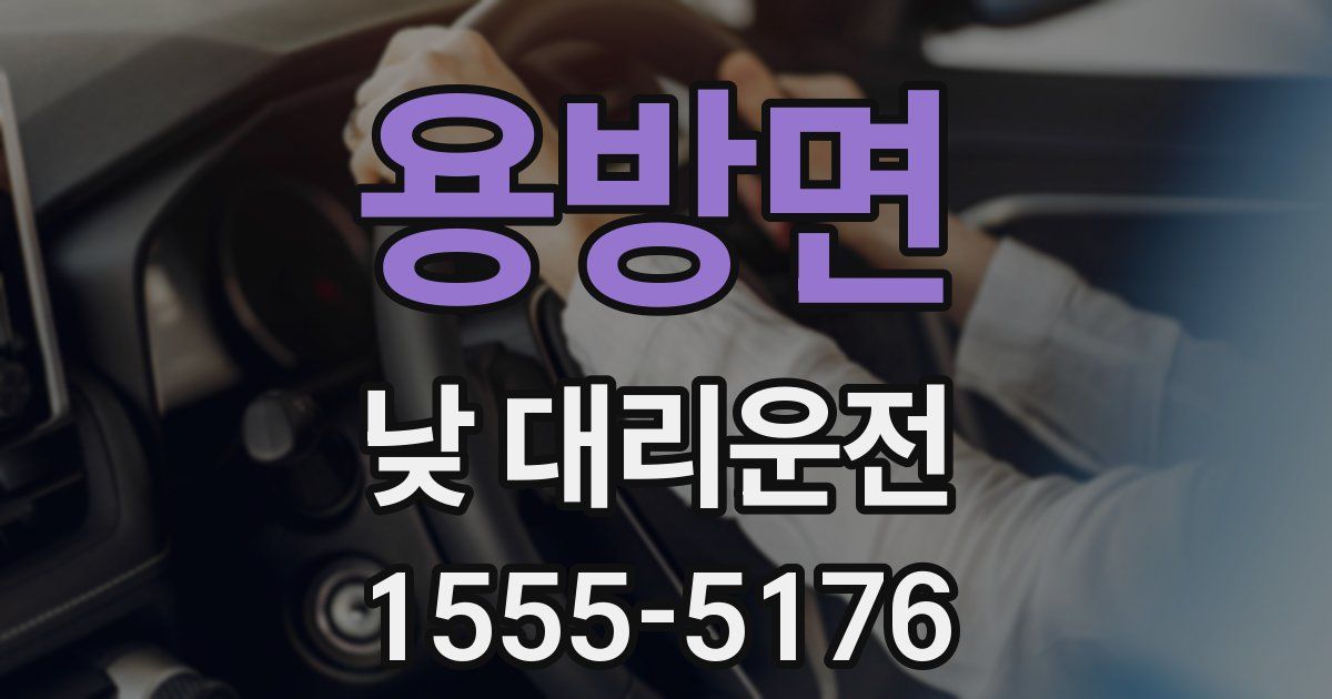 용방면 낮 대리운전