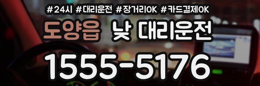 도양읍 낮 대리운전