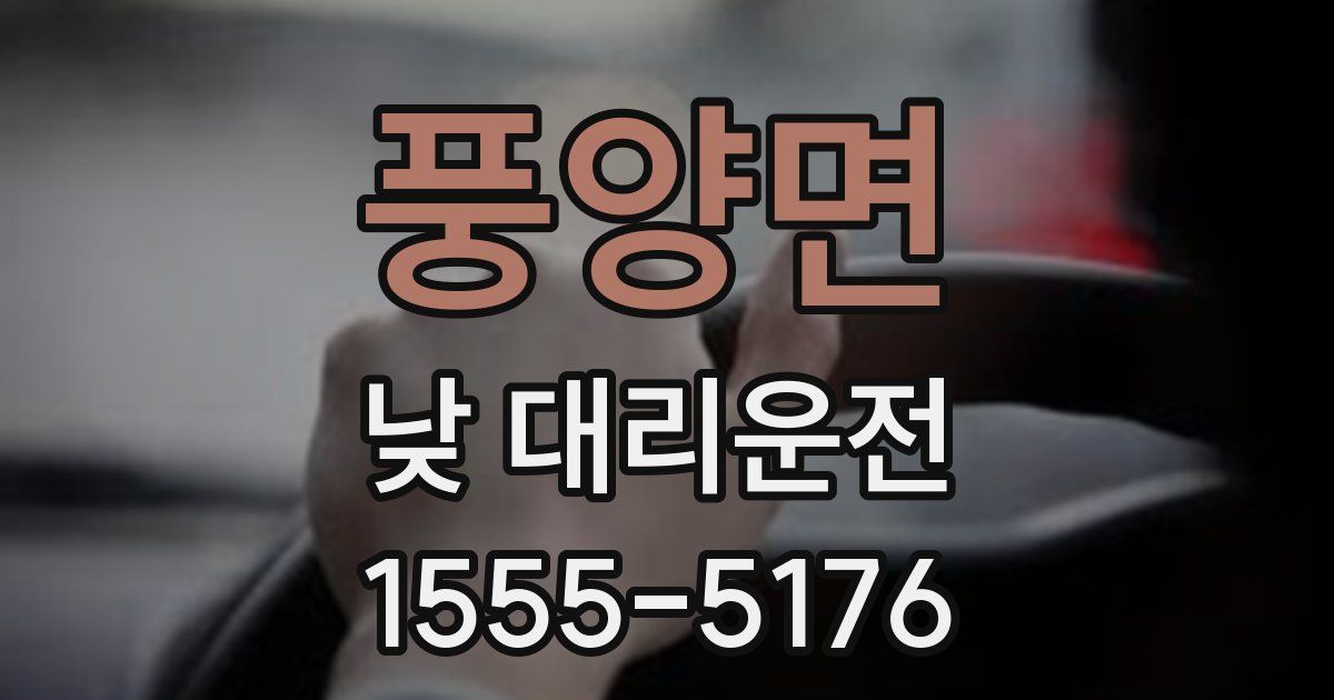 풍양면 낮 대리운전