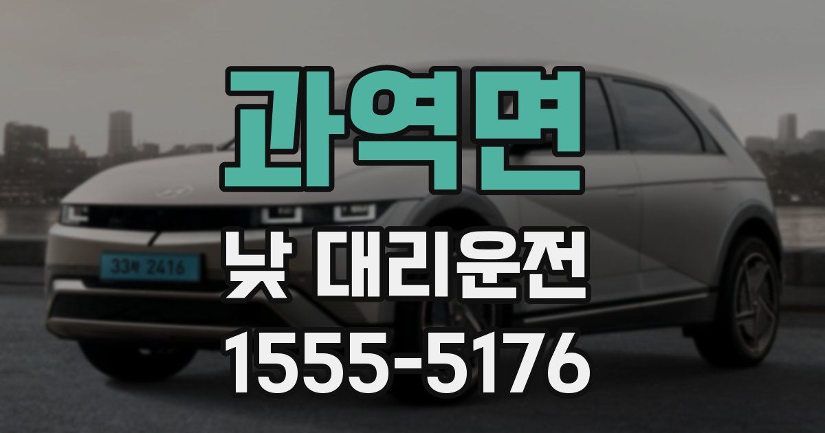 과역면 낮 대리운전