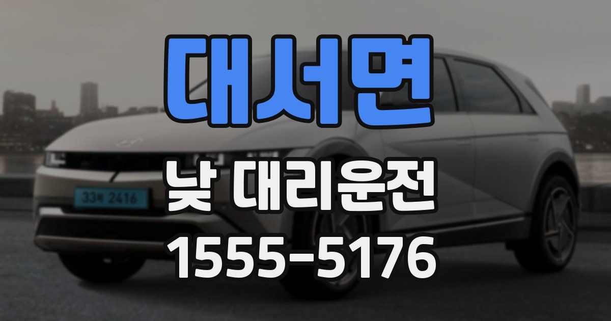 대서면 낮 대리운전