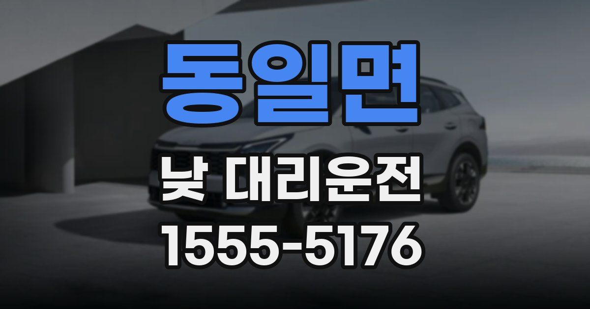 동일면 낮 대리운전