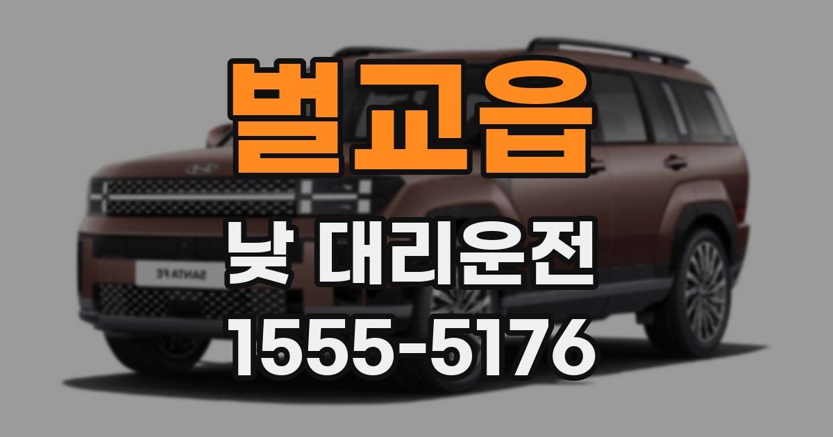 벌교읍 낮 대리운전