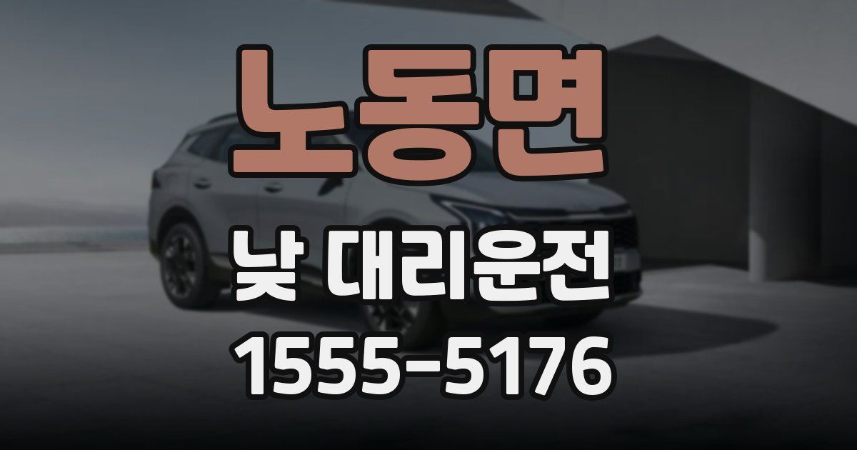 노동면 낮 대리운전