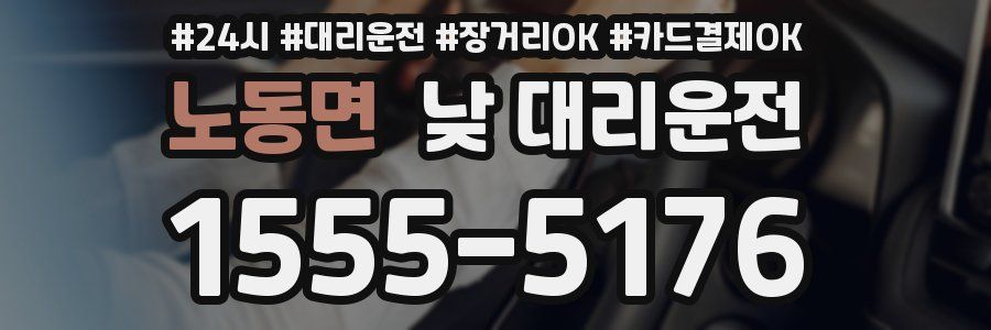 노동면 낮 대리운전