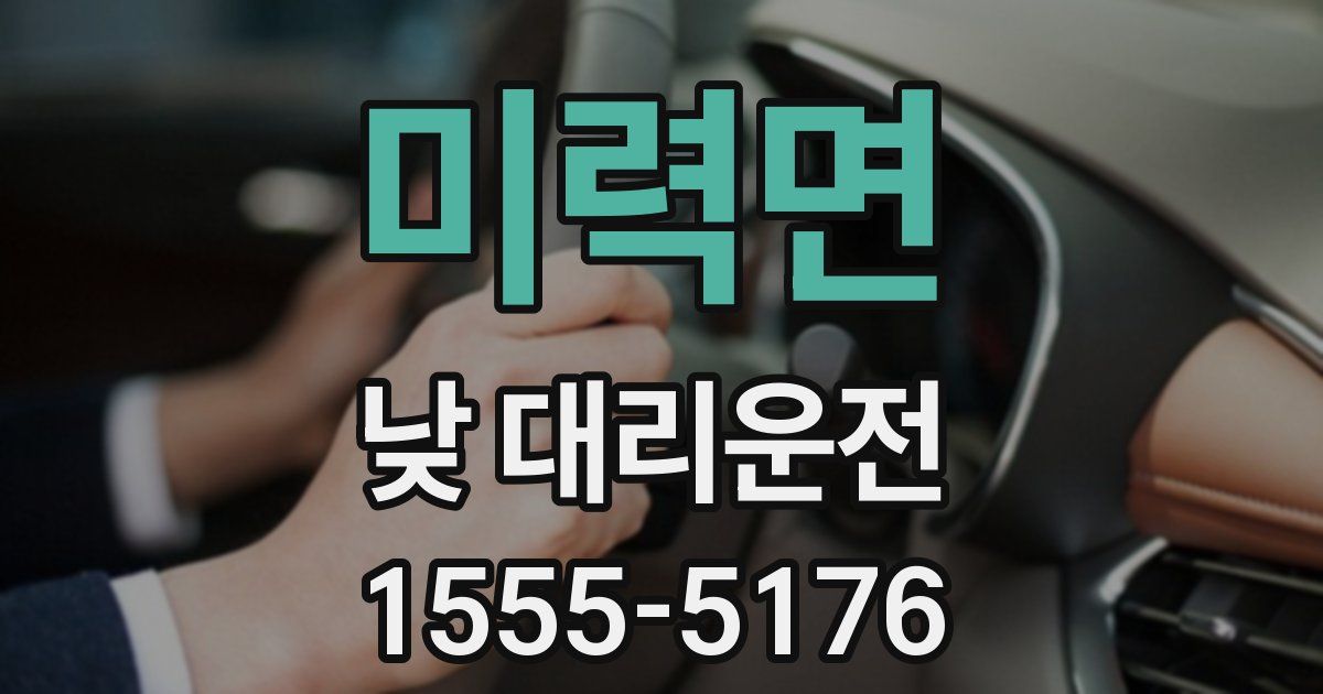 미력면 낮 대리운전