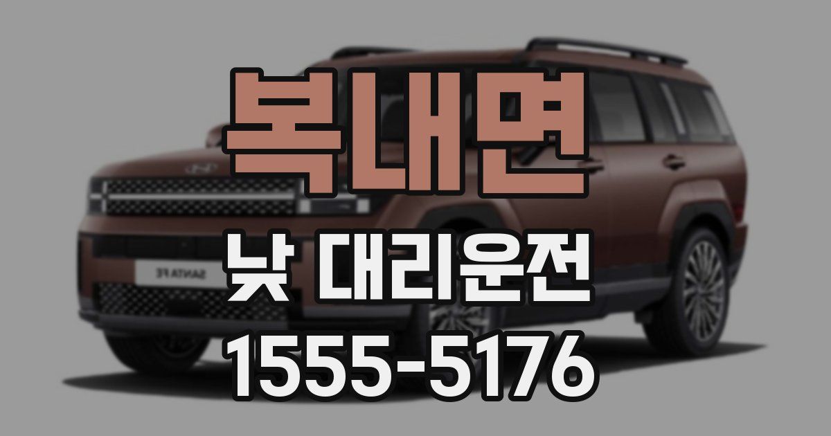 복내면 낮 대리운전