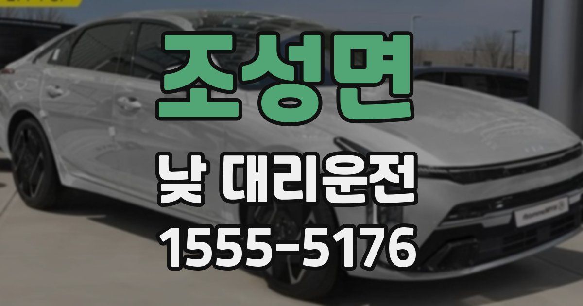 조성면 낮 대리운전