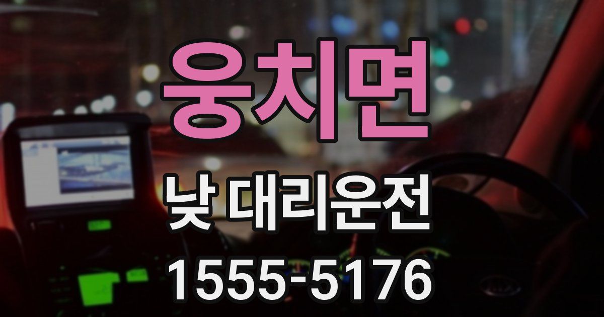 웅치면 낮 대리운전