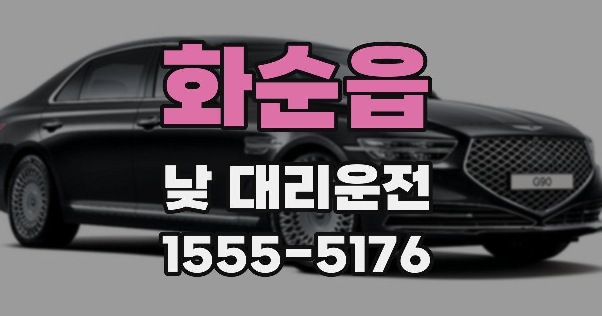 화순읍 낮 대리운전