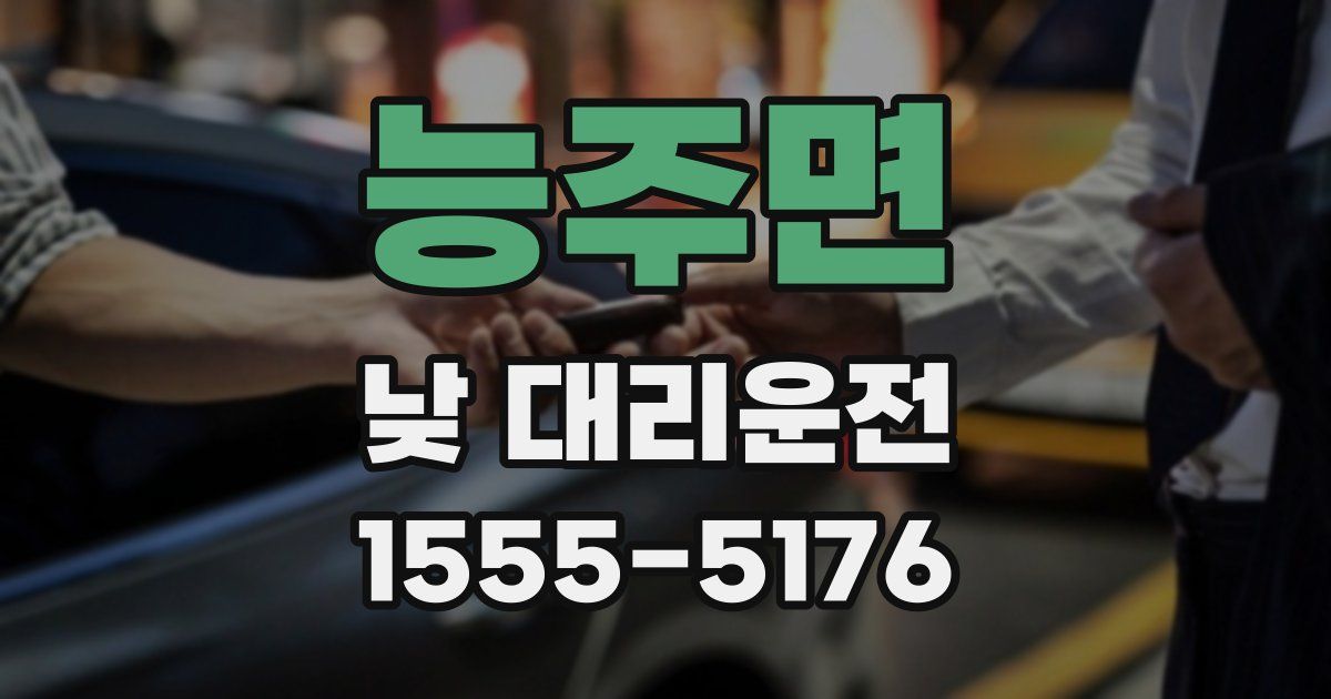 능주면 낮 대리운전