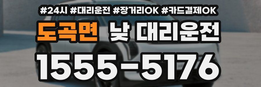 도곡면 낮 대리운전
