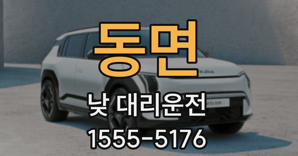 동면 낮 대리운전