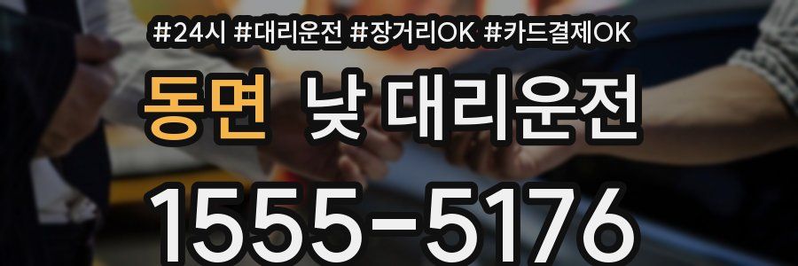 동면 낮 대리운전