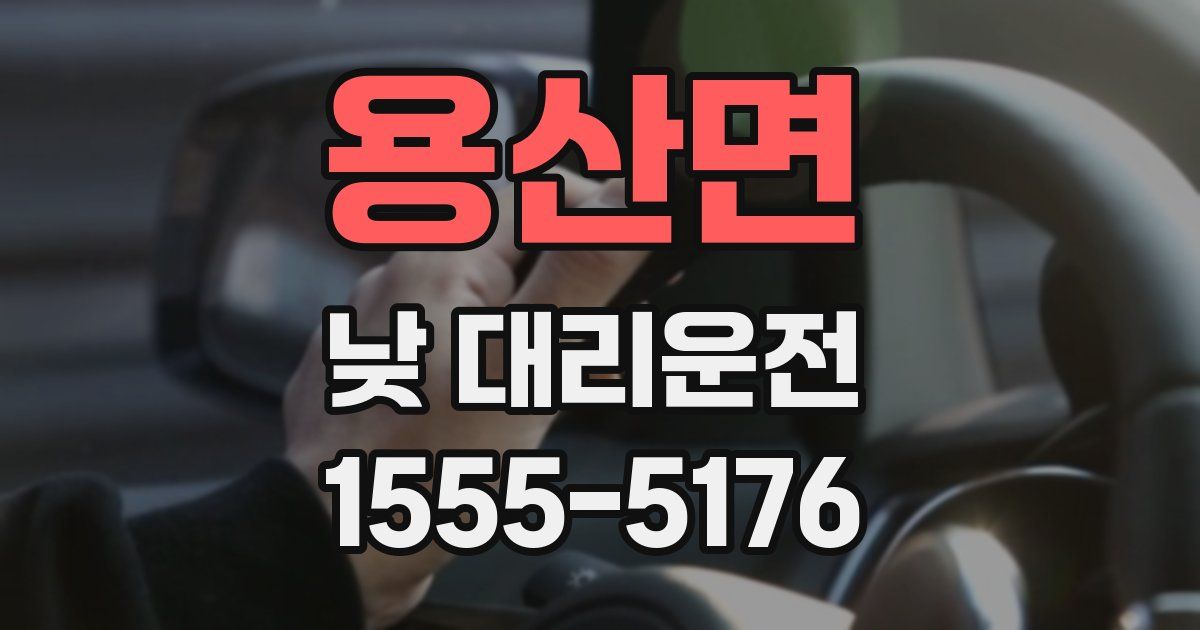 용산면 낮 대리운전