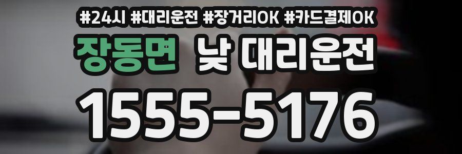 장동면 낮 대리운전