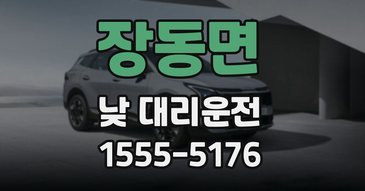 장동면 낮 대리운전